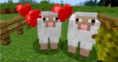 minecraft sheep breeding