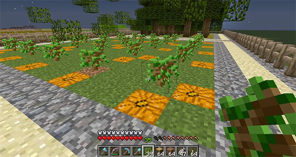 minecraft tree farm with pumpkins