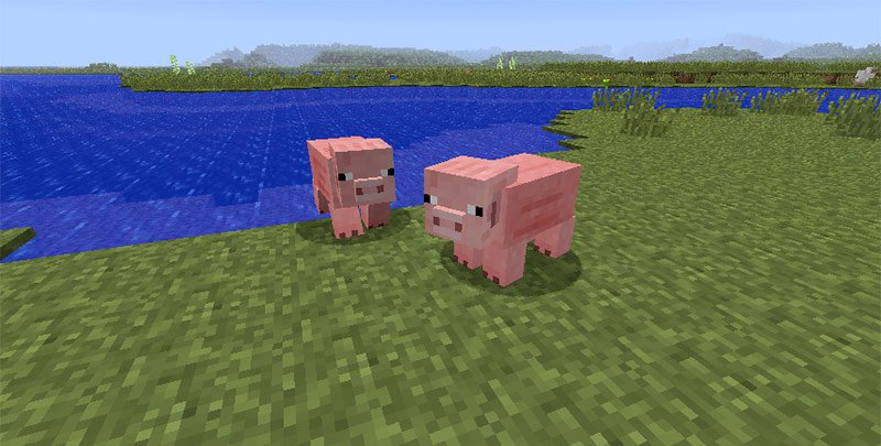 How To Tame A Pig In Minecraft And Breed Pigs Geeky Matters